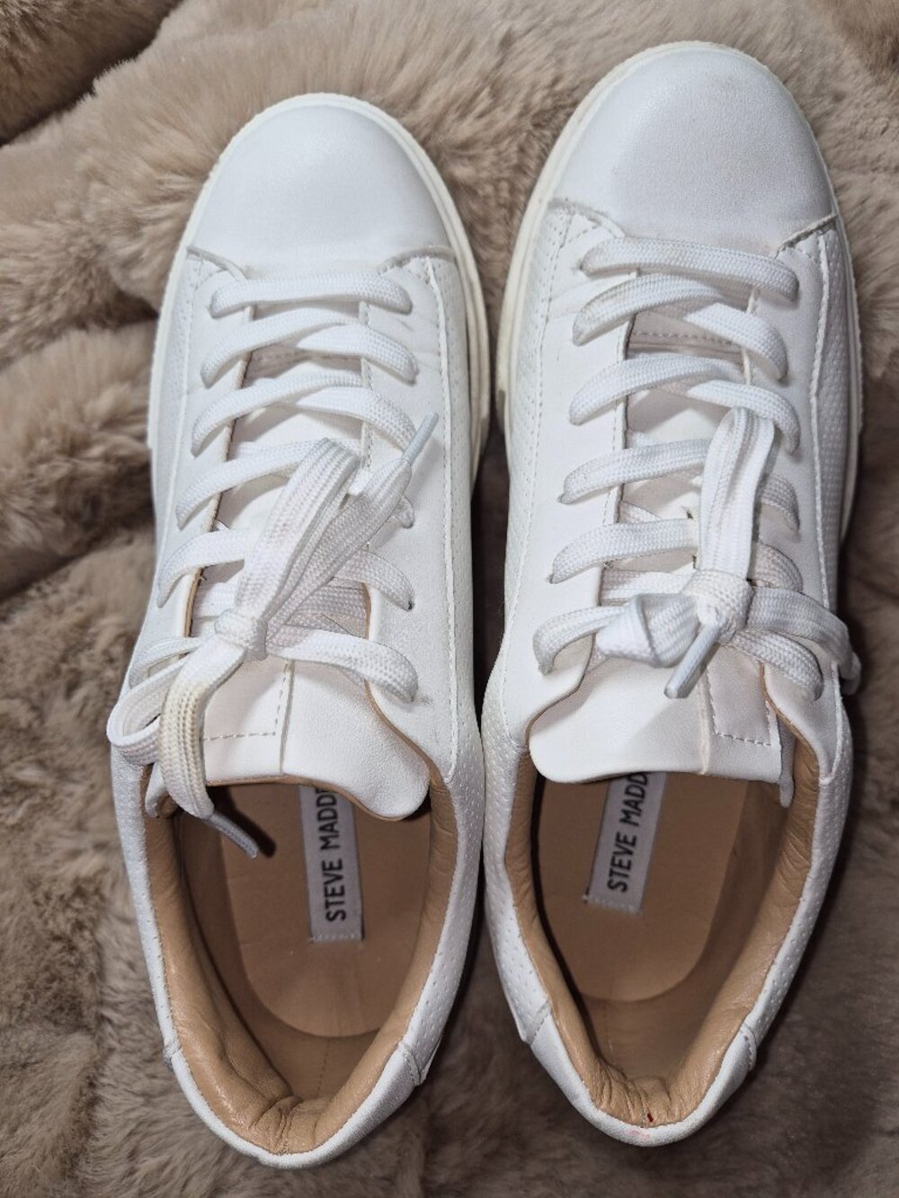Steve Madden Platform Sneakers